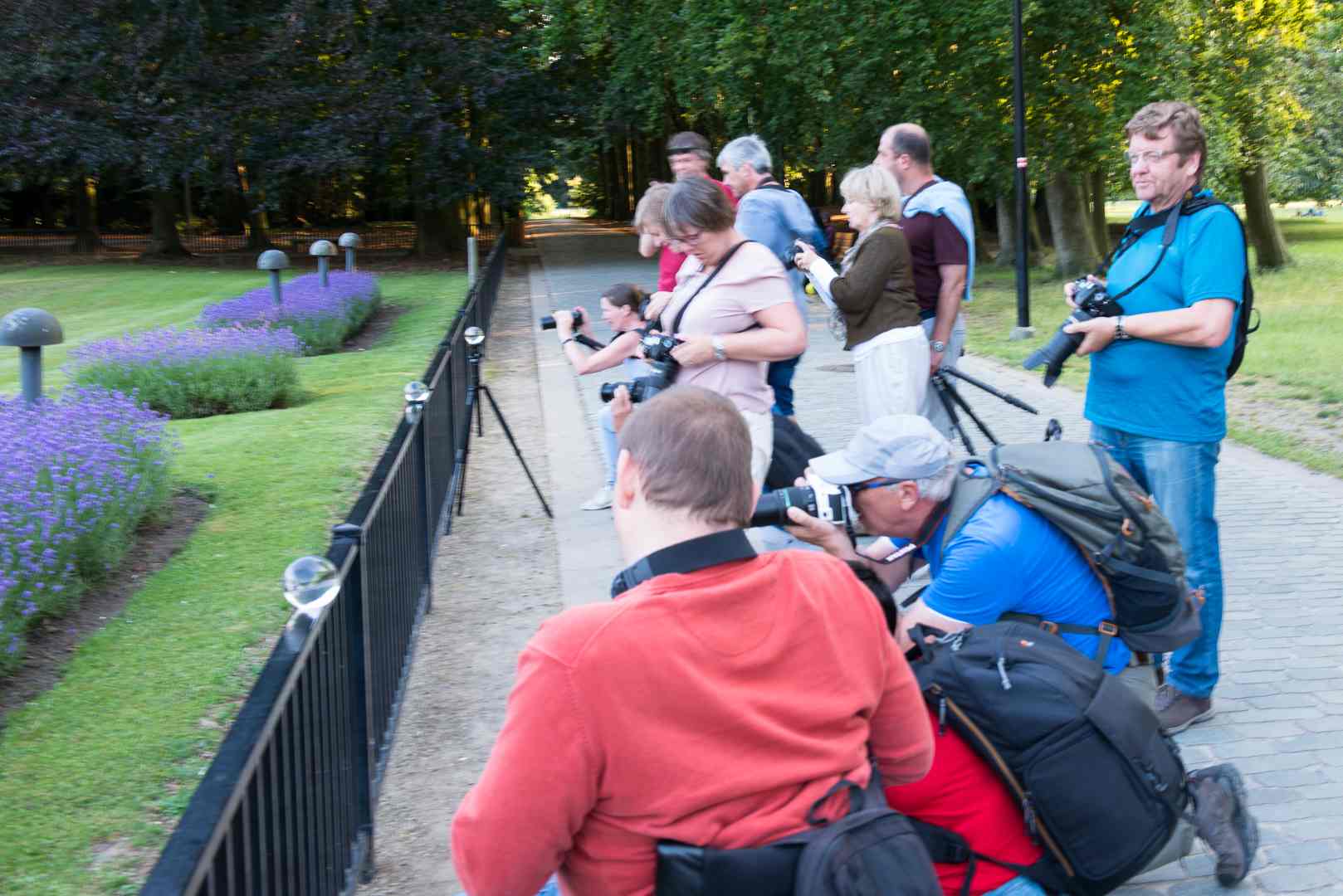 Rivierenhof 20190702