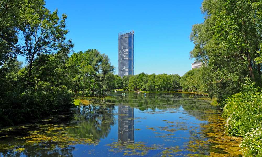 dirkh p5260538 small 20200321