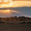 zimbabwe