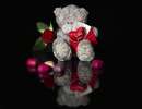guyb img 0001 20221127
