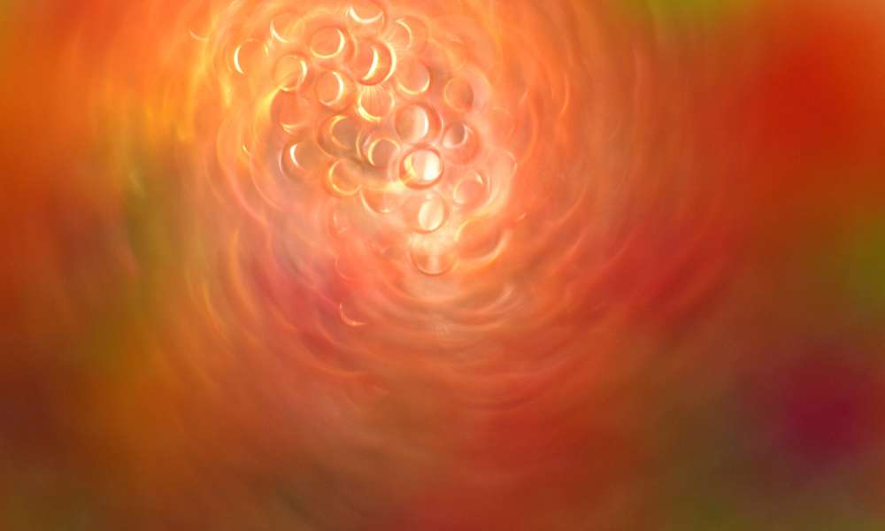 2011 01 20190520