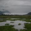 landschapalaska