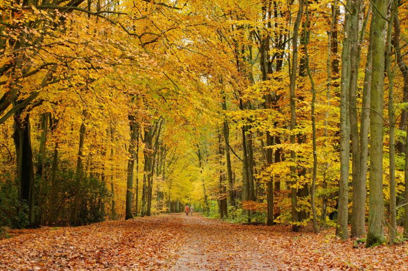 herfst 20210415
