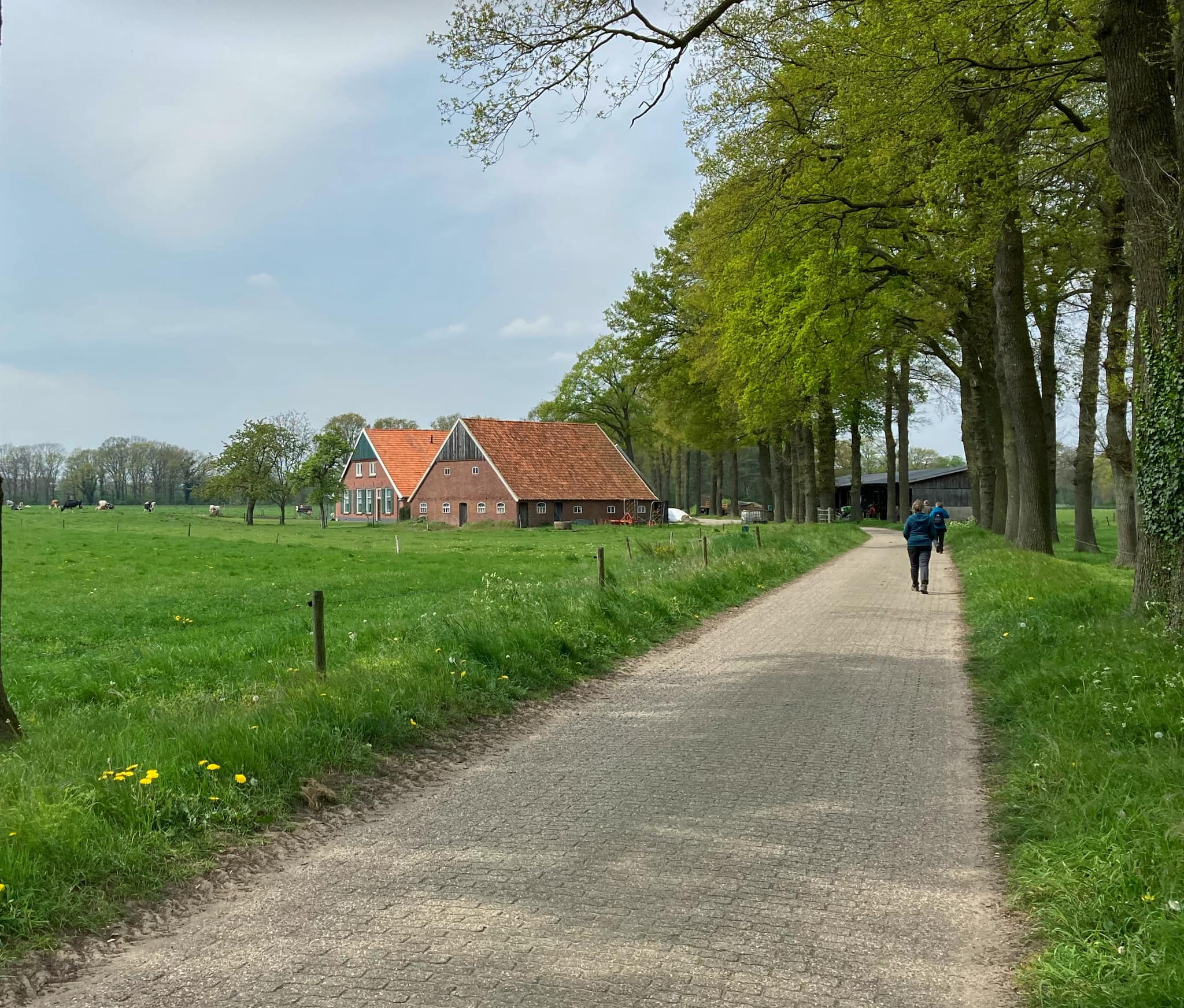 Achterhoek 2