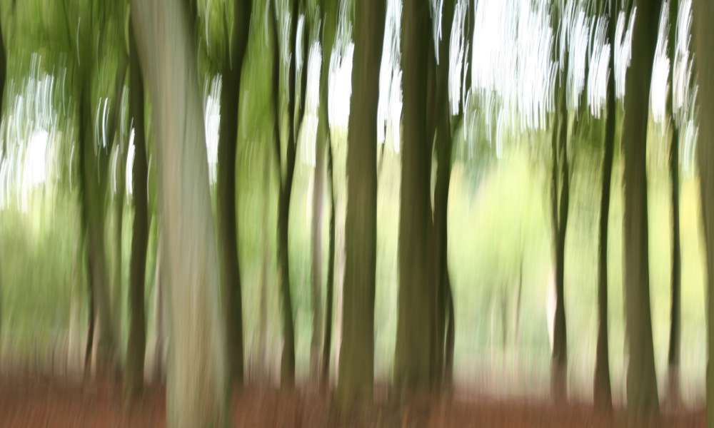 groen 20210407