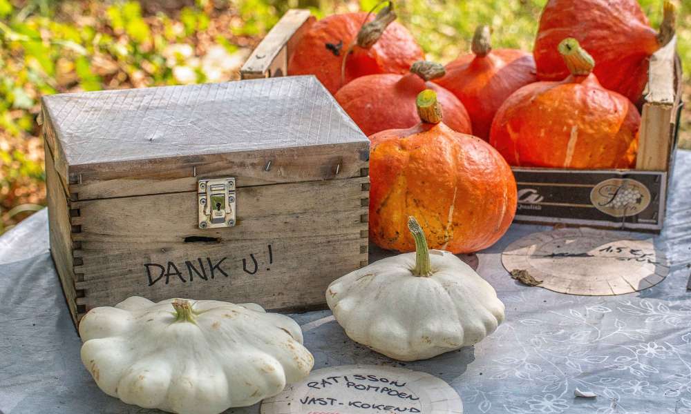 img 6878 edit 20181113