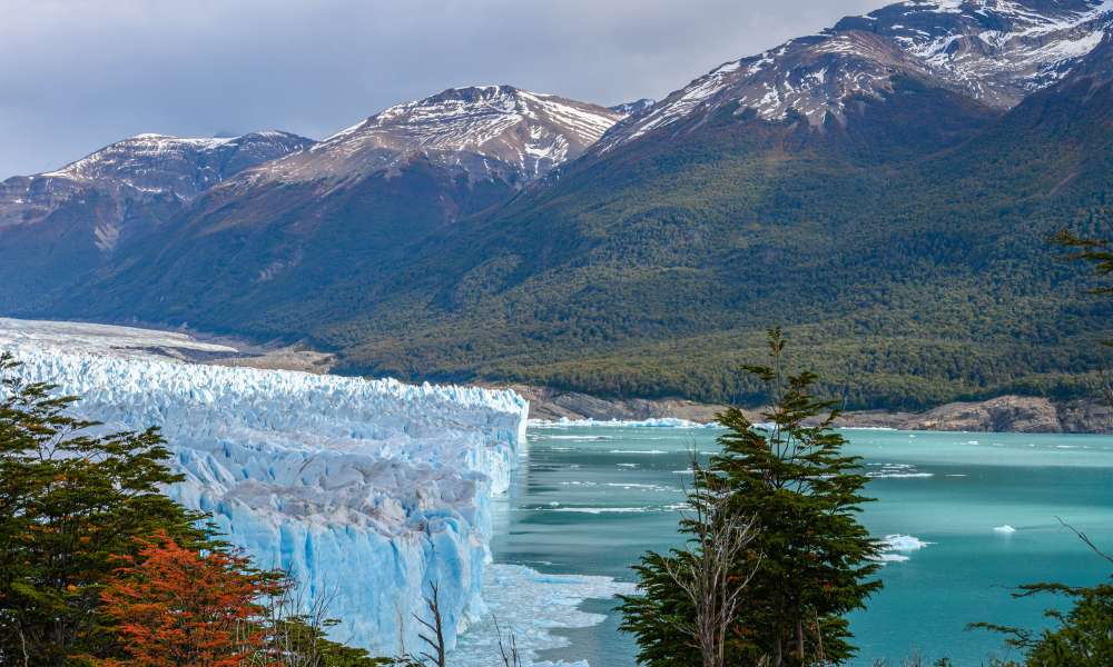 greetvt argentinie  van 