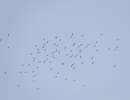  dsc0208 20190505