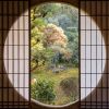janc japan 20230320