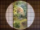 janc japan 20230320