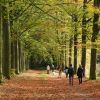 lucs  s gravenwezel urban trail 2024 2024 10 19