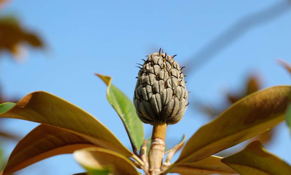 lucs borgloon 2020 09 18