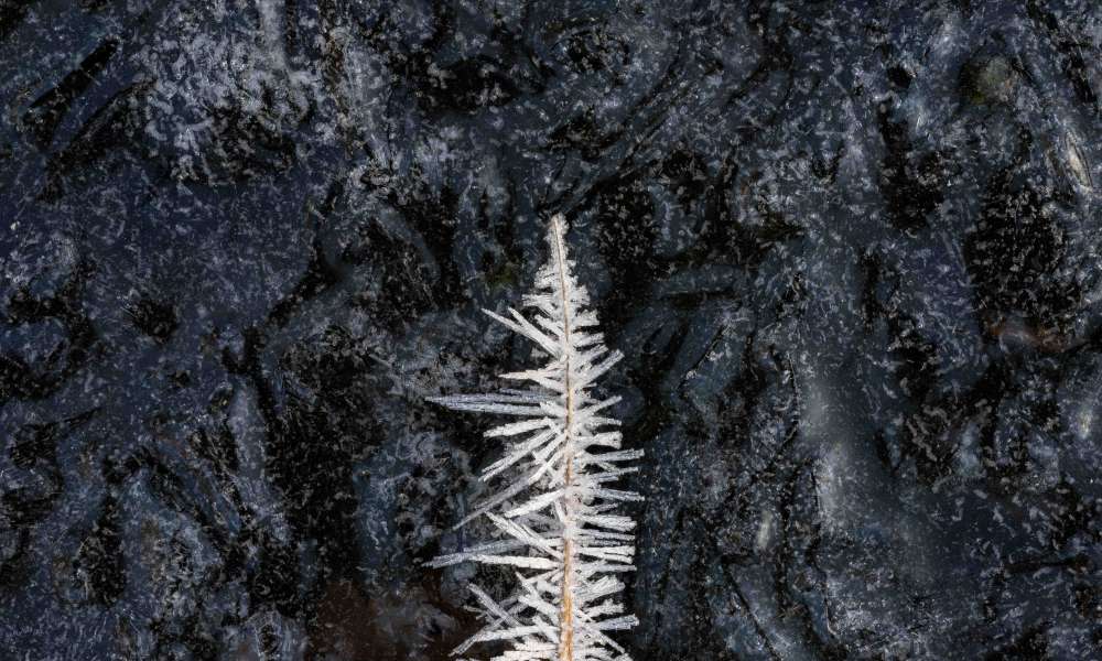 marcvv    dsc2679 mp