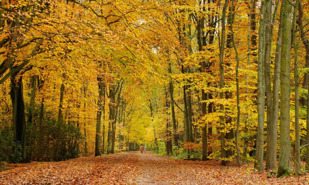 herfst 20210415